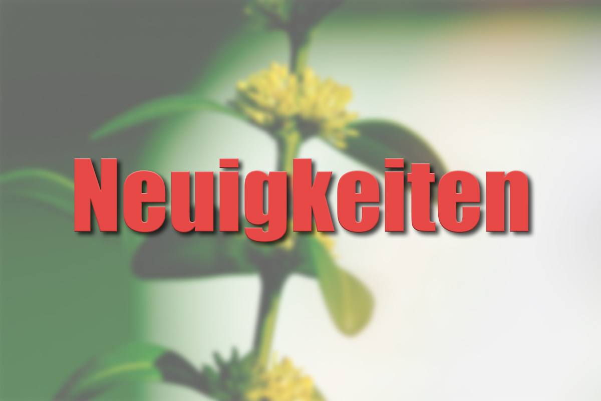 Beitragsbild-Neuigkeiten
