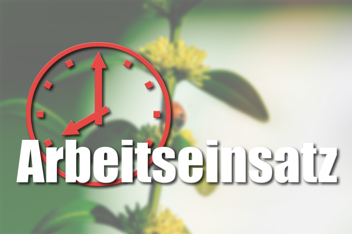 Beitragsbild-TERMIN-Arbeitseinsatz
