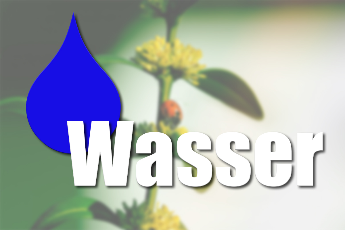 Beitragsbild-TERMIN-Wasser