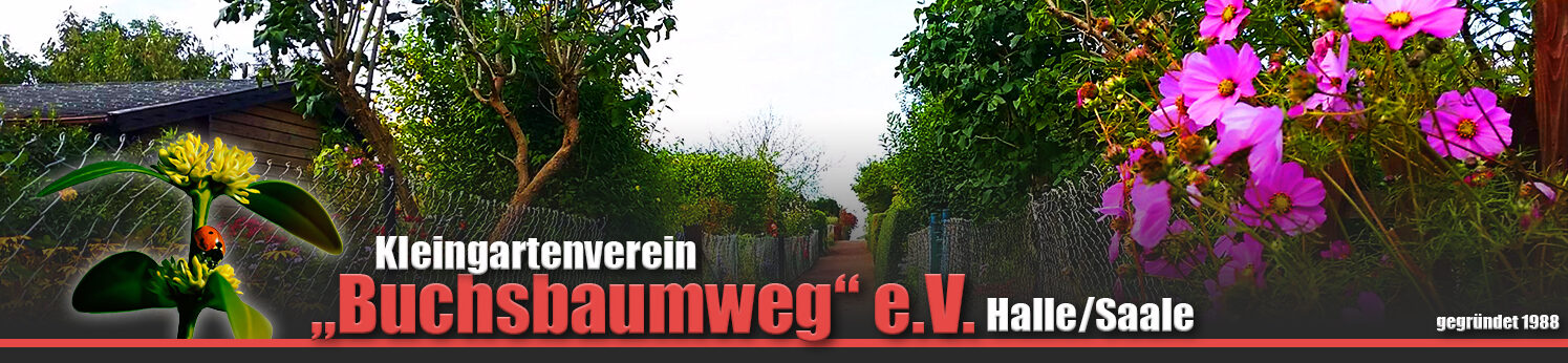 KGV »Buchsbaumweg« e. V.
